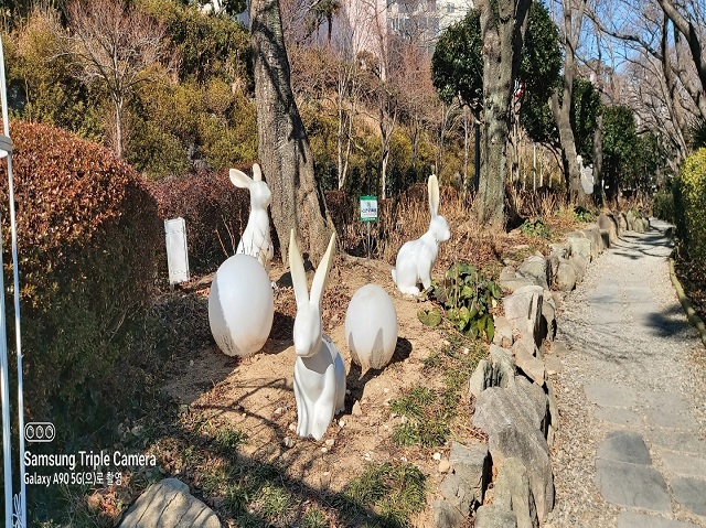 달 토끼 계수나무